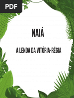 Video - animação - Naia