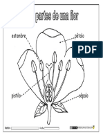 3º Partes-de-una-flor-4.pdf