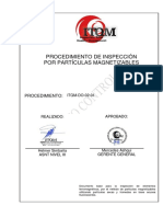 Particulas Magnéticas1 - MT