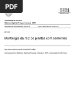 Botanica Cap Livro Plantas Com Sementes