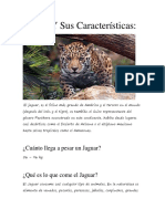 Jaguar Y Sus Características