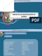 investigación en ovinos