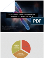 4 Tema Nº 4. Herencia cromosomica 2016.pdf