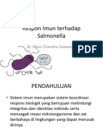 Mekanisme Respon Imun Salmonela