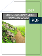 Informe Quebrada Verde