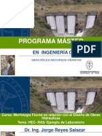 Canal_y_Presa_HEC_RAS.pdf