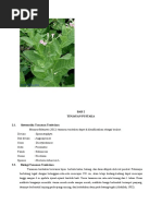 Download Tinjauan Pustaka Daun Tembakau by Viona Avrilia SN365685593 doc pdf