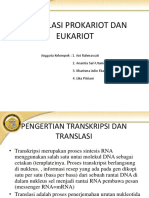 Translasi Prokariot Dan Eukariot