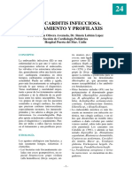 24_endocarditis.pdf