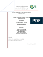 CarapiaSoto PDF
