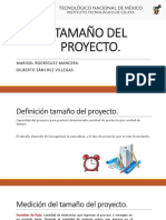 Tamaño Del Proyecto