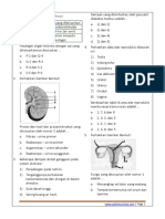 Soal Soal UKK IPA SMP - Kelas 9 Semester Gasal Tahun 2017 (Paket 1)