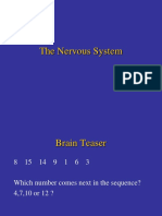 Nervous System