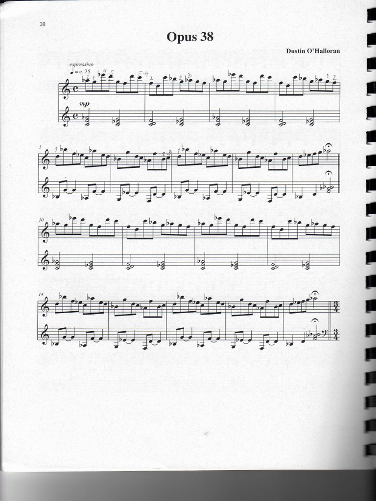 Dustin O Halloran Opus 38