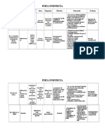 271247139-Plan-de-Ingrijire-Pielonefrita.pdf