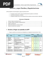 Guía para Declarar Planillas AFPnet | PDF | Business | Informática y ...