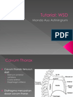 Tutorial WSD, Efusi Pleura Dan Pneumothorax
