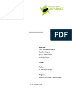 17313575-5-ORGANIGRAMAS.pdf