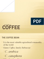 Brief Report on Coffee