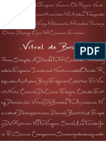 Libro de Producción Vitral de Bruma