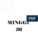 Minggu 33