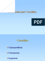 Coccidios Oportunistas