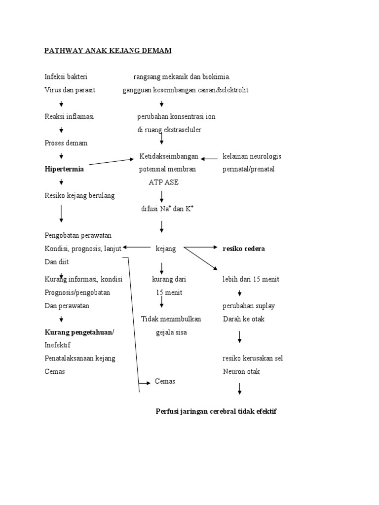 Pathway Anak Kejang Demam Pathway Anak Kejang Demam