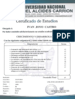 Ivan Joyo Castro PDF