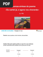 p164_esquemas_sintese_cantei_ja.pptx