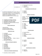 04.Sistema Articular