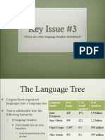 Key Issue #3: Where Are Other Language Families Distributed?