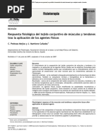 Agentes Fisicos Articulo