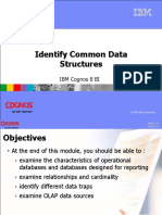 Identify Common Data Structures: IBM Cognos 8 BI