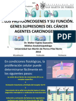 Clase 10 Agentes Carcinogenicos y Protooncogenes