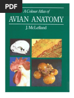 Download A Colour Atlas of Avian Anatomy by zaitz SN36579368 doc pdf