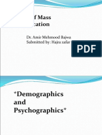 Final Demographic and Psychographic