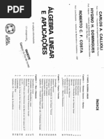 Algebra Linear e Aplicacoes - Callioli