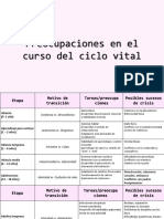 Preocupaciones en El Curso Del Ciclo Vital