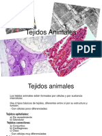 TejidosAnimales EDUCACIÓN (1).ppt