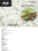 Produção de mudas teca.pdf