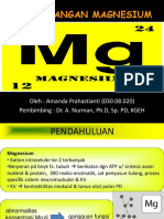 111499260-magnesium-131227024646-phpapp02.pdf