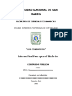 Informe Sobre Consorcio