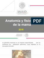 5.-Anatomia y Fisiología de La Mama Sonora
