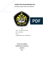 Karakterisasi Mikroba Dengan Reaksi-Reaksi Biokimia (Laporan 5)