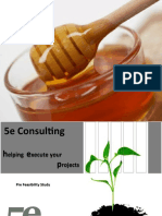 5e Consulting Pre Feasibility Study for Honey Park
