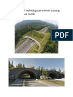 Roads Design of Technology For Animals Crossing Road in Protected Forests
