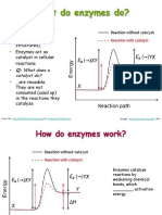 Enzymes Course Bioprocess