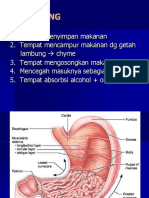 1._pencernaan_2.ppt