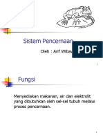 sistem-pencernaan.ppt