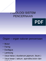 1.-Fisiologi-Sistem-Pencernaan.ppt